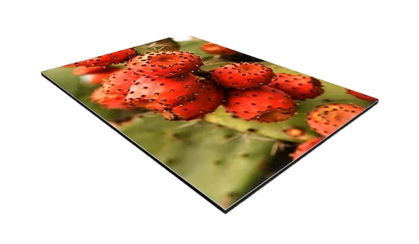 alluminio senza sfondo.png